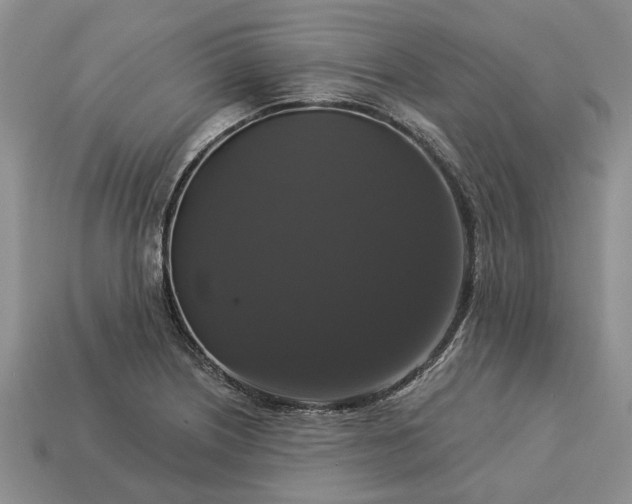 X0000113271226200909241536