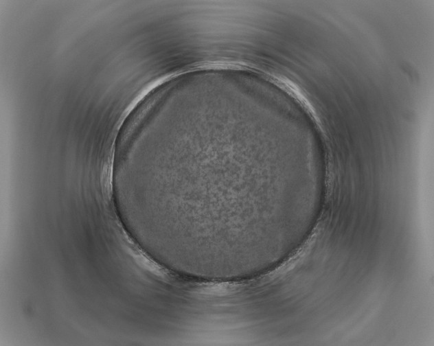 X0000113271228200909241536