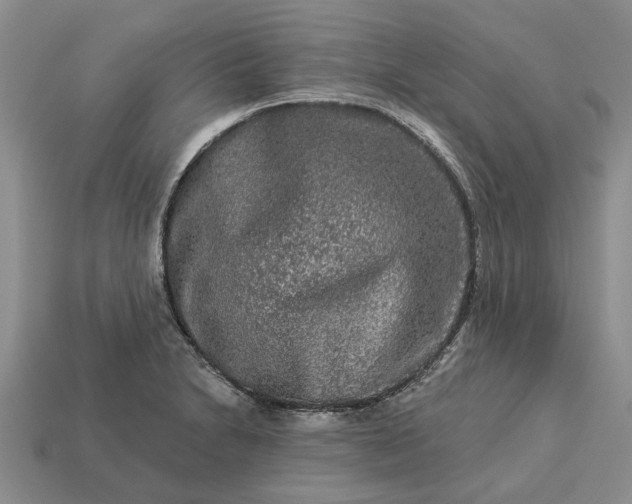 X0000113271230200909241536