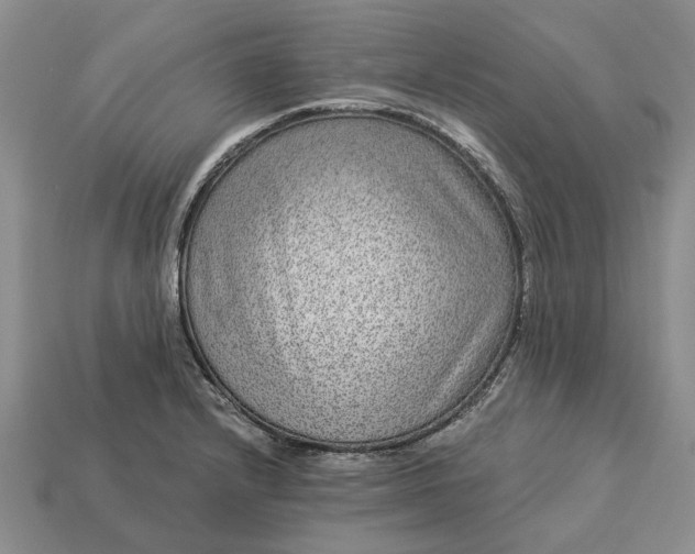 X0000113271232200909241536