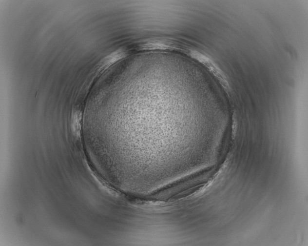 X0000113271233200909241536