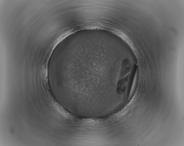 X0000113271234200909241536