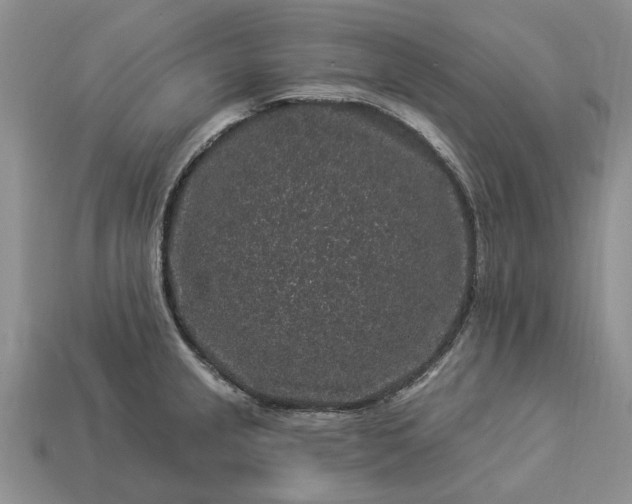 X0000113271237200909241536