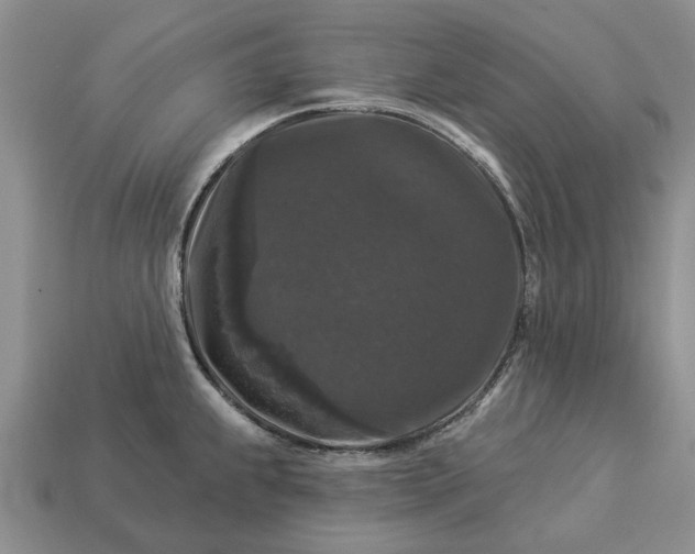 X0000113271239200909241536