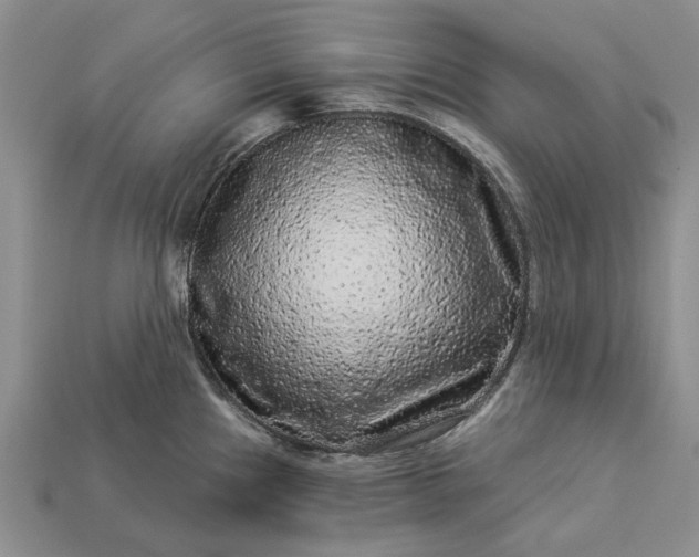 X0000113271241200909241536