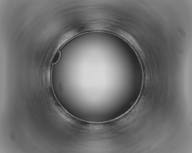 X0000113271242200909241536