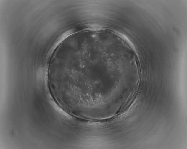 X0000113271243200909241536