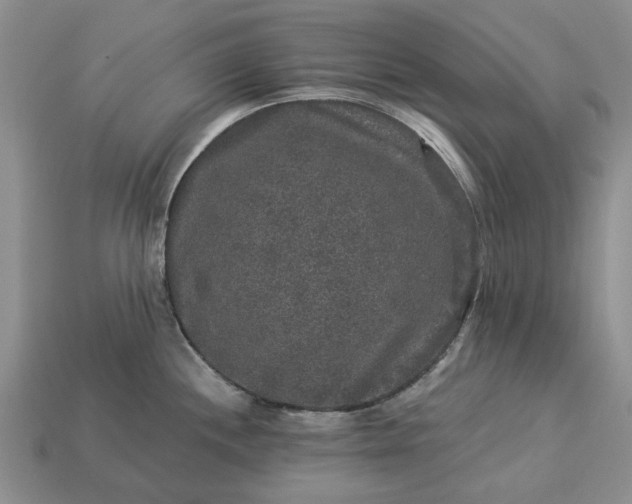 X0000113271244200909241536