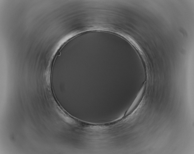 X0000113271246200909241536