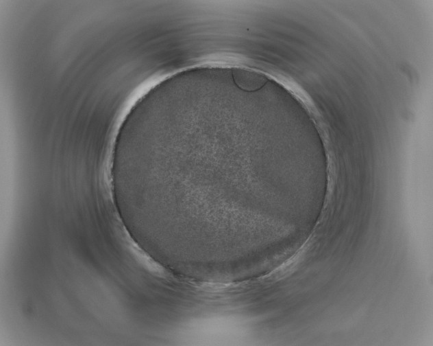 X0000113271248200909241536