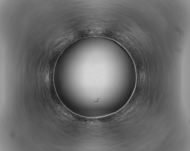 X0000113271250200909241536