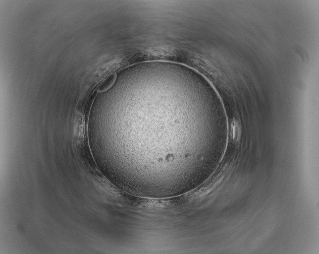 X0000113271251200909241536