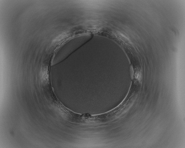 X0000113271252200909241536