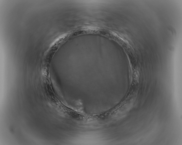 X0000113271254200909241536