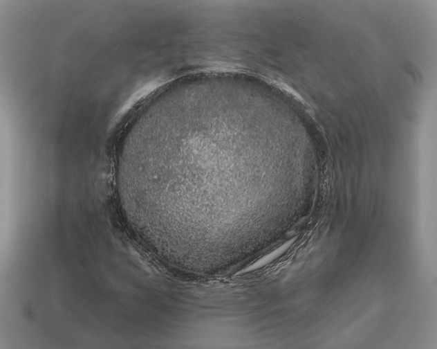 X0000113271255200909241536