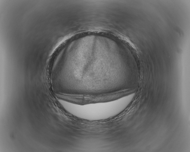 X0000113271256200909241536