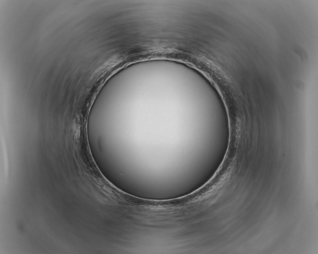 X0000113271257200909241536