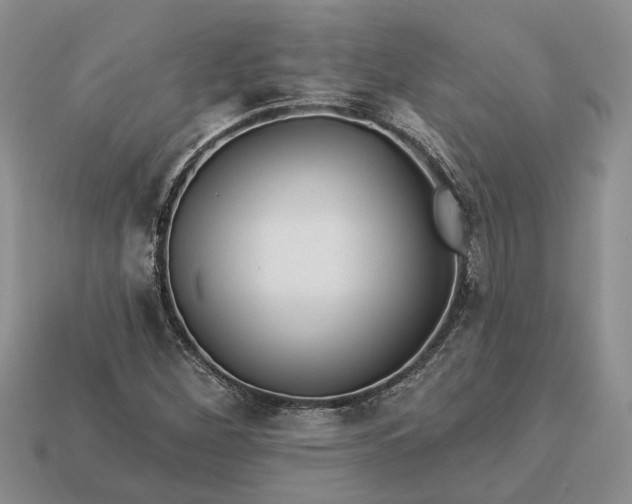 X0000113271260200909241536