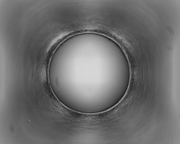 X0000113271262200909241536