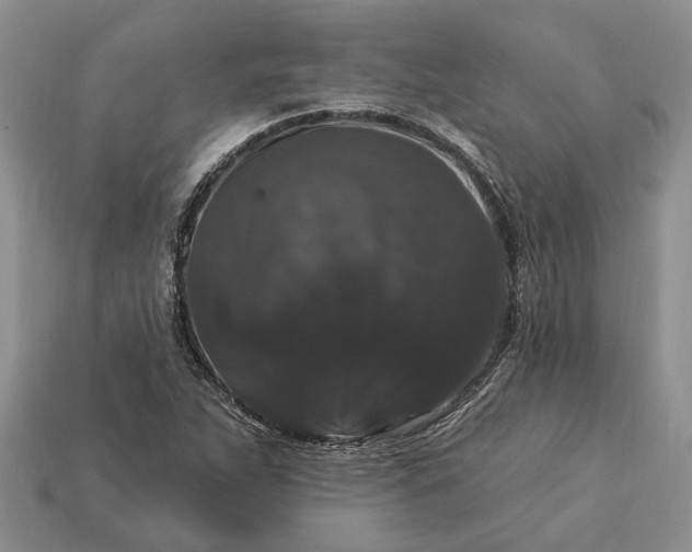 X0000113271263200909241536