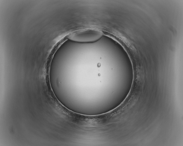 X0000113271264200909241536