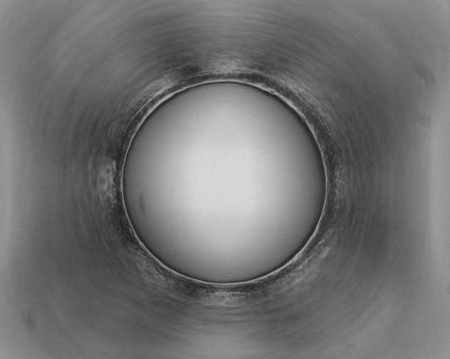 X0000113271265200909241536