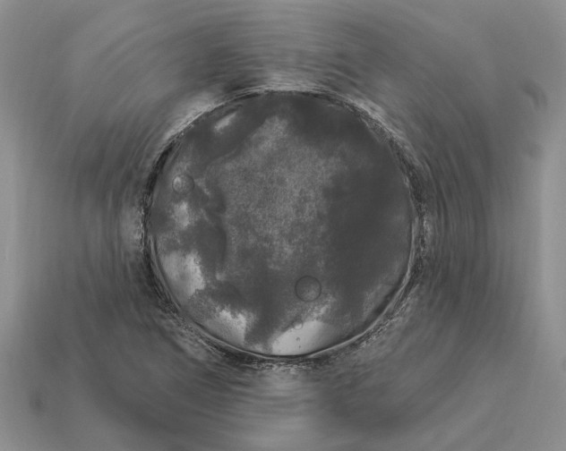 X0000113271266200909241536