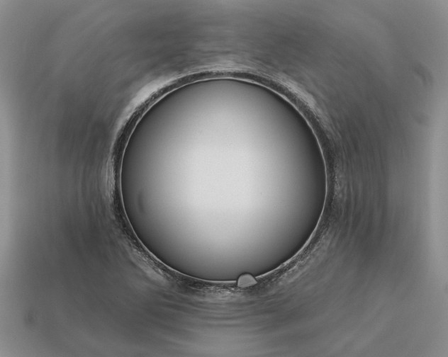 X0000113271270200909241536