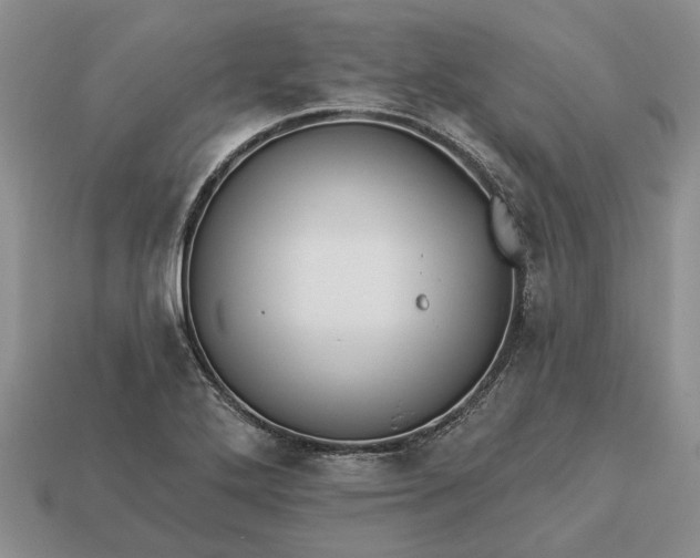 X0000113271272200909241536