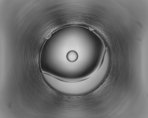 X0000113271273200909241536