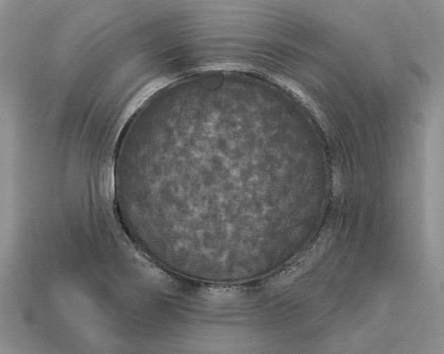 X0000113271274200909241535
