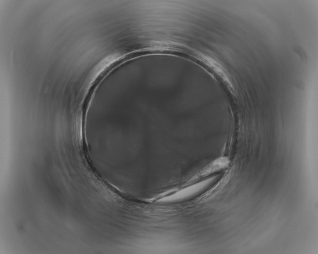 X0000113271275200909241535