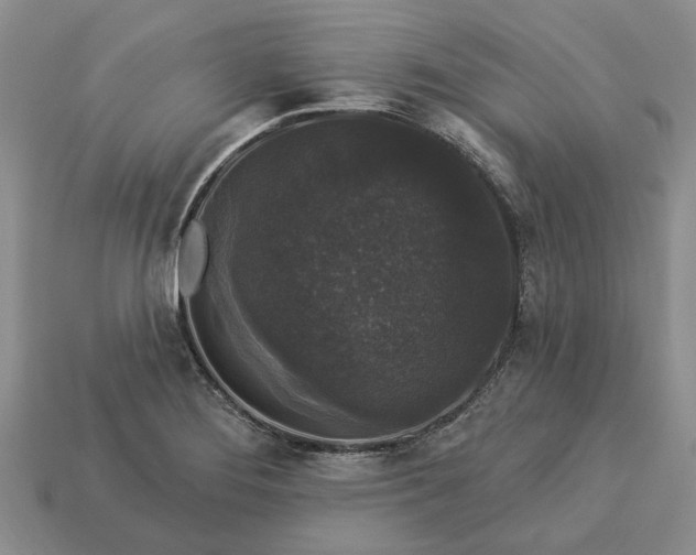 X0000113271276200909241535