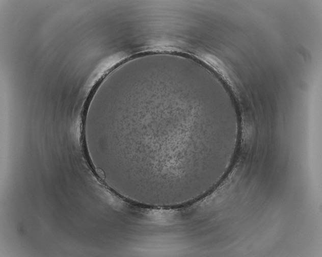 X0000113271277200909241535