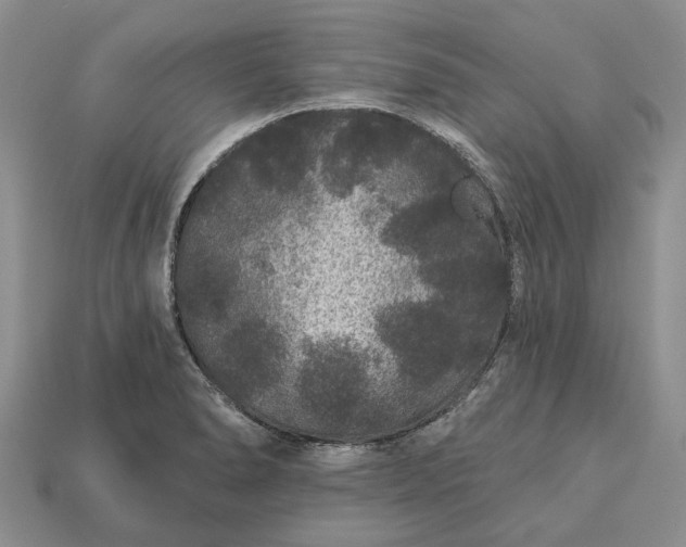X0000113271278200909241535