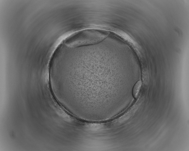 X0000113271280200909241535