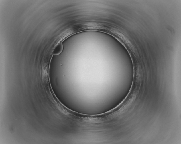 X0000113271281200909241535