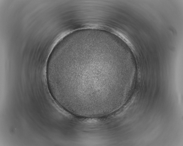 X0000113271283200909241535