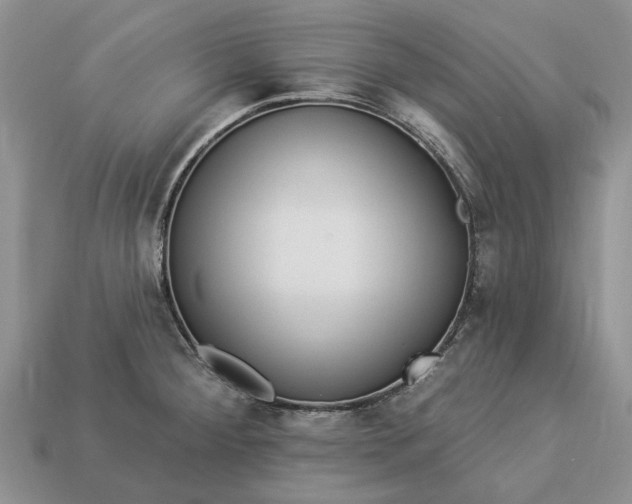 X0000113271284200909241535