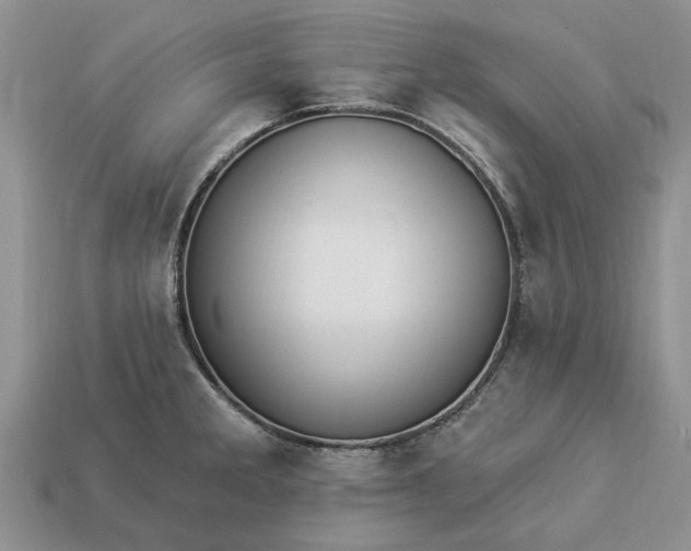 X0000113271285200909241535