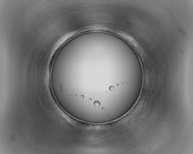 X0000113271286200909241535