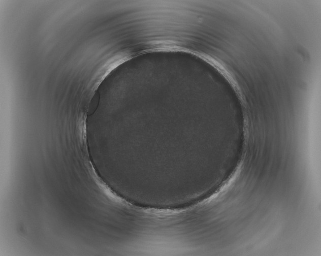 X0000113271289200909241535