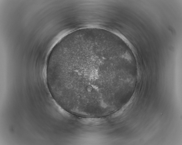 X0000113271294200909241535