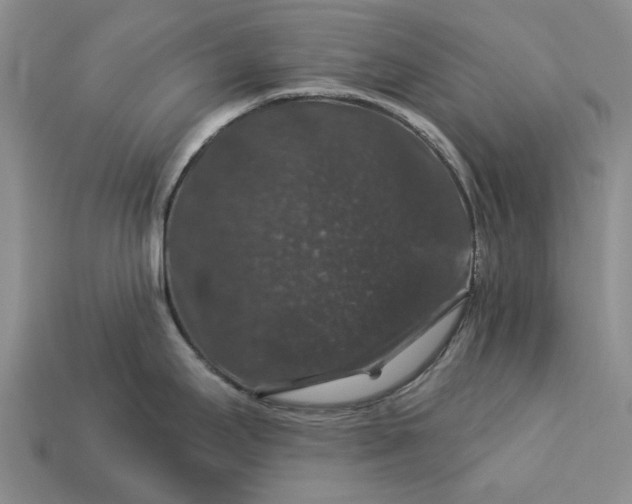 X0000113271295200909241535