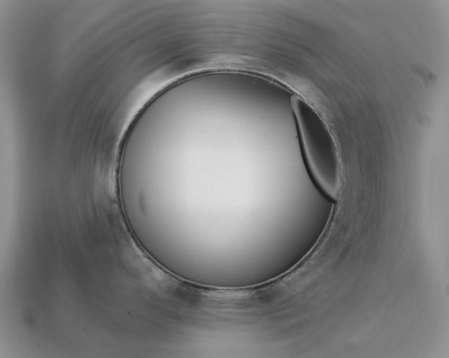 X0000113271296200909241535
