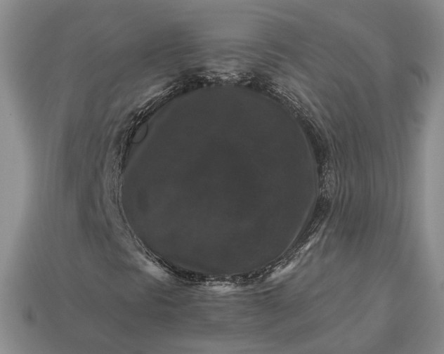X0000113271297200909241535