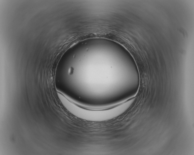 X0000113271298200909241535