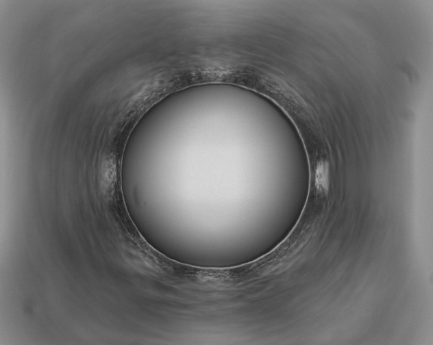 X0000113271299200909241535