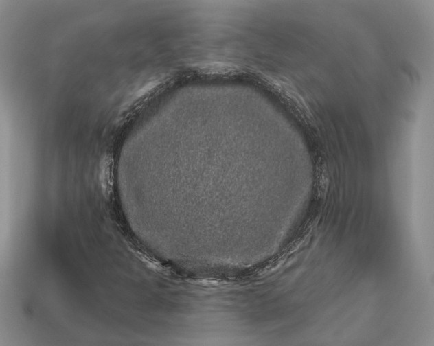 X0000113271301200909241535