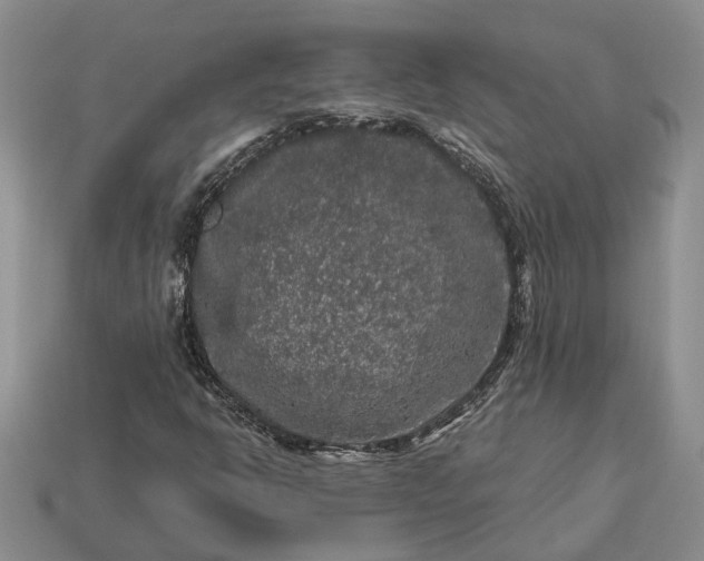 X0000113271302200909241535